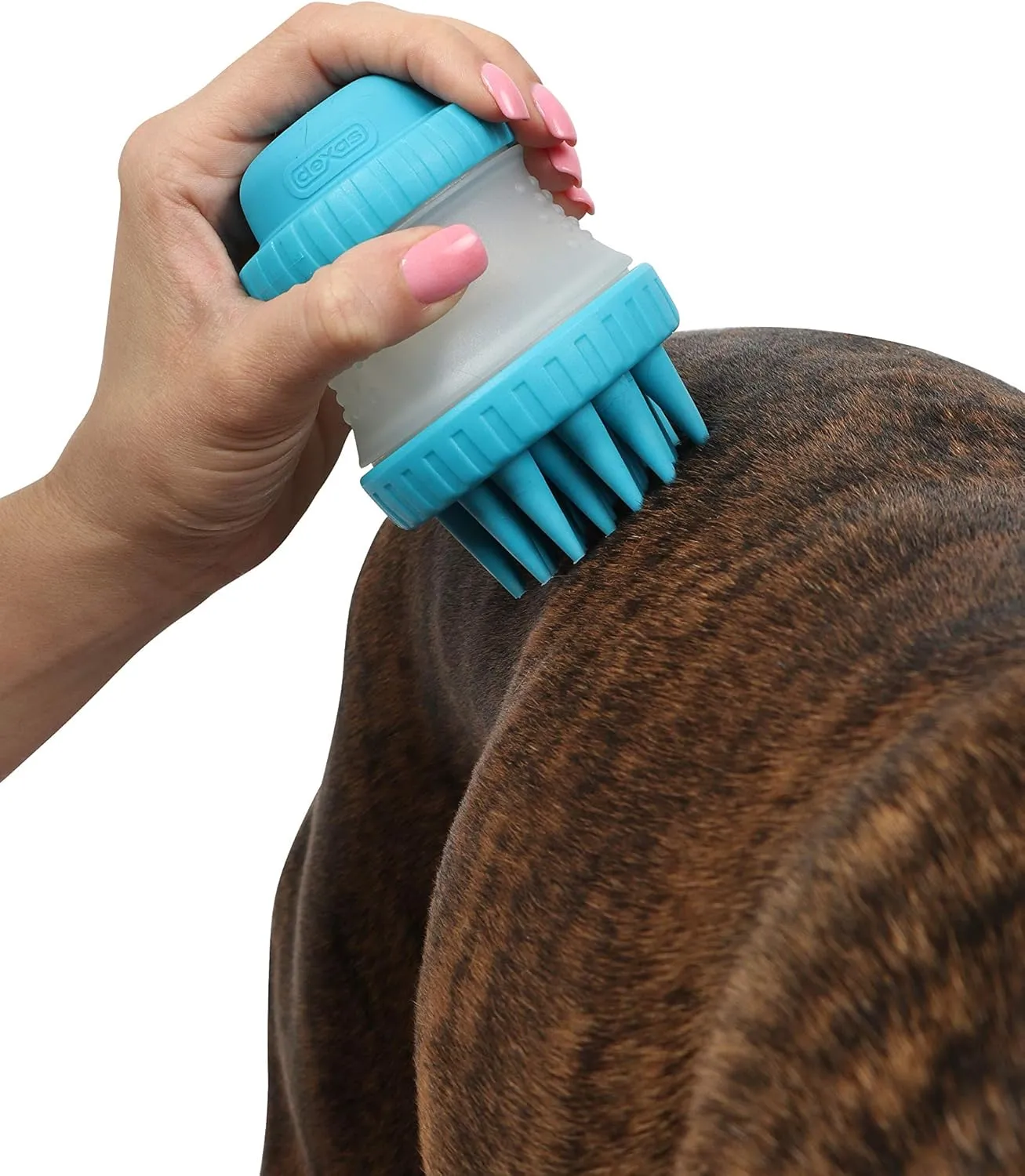 Dexas MudBuster Portable Pet Cleaning Kit with Dog Paw Washer, Pet Bathing Brush, Microfiber Towel, Large, Blue