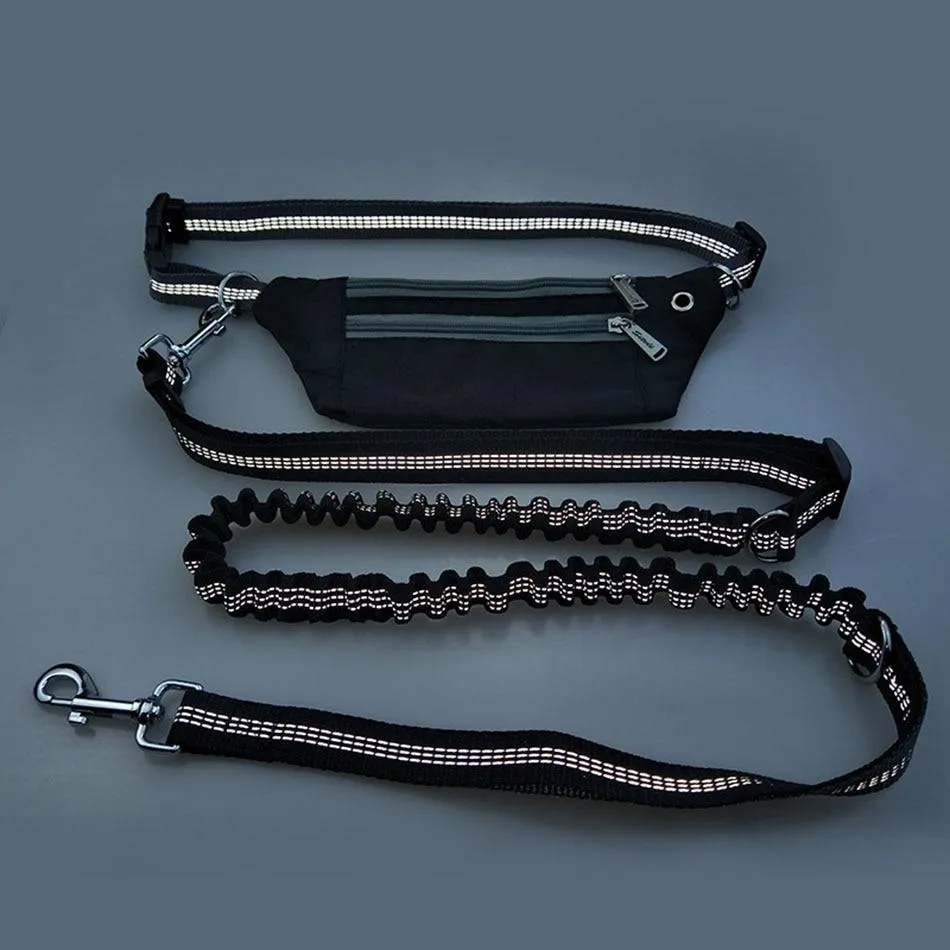 Hands Free Dog Leash - Phone Storage Compartment - Running Clip