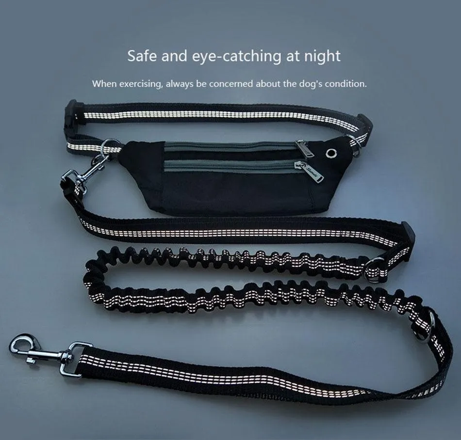 Hands Free Dog Leash - Phone Storage Compartment - Running Clip