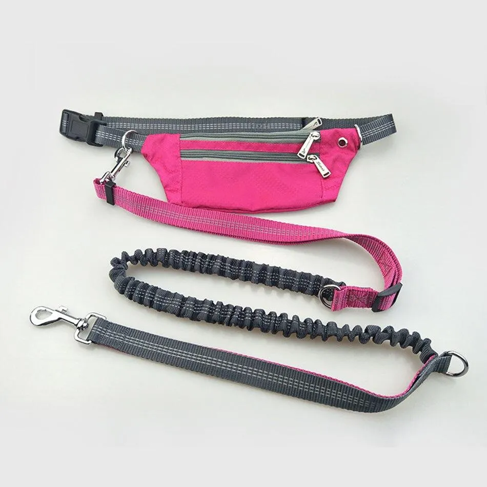 Hands Free Dog Leash - Phone Storage Compartment - Running Clip