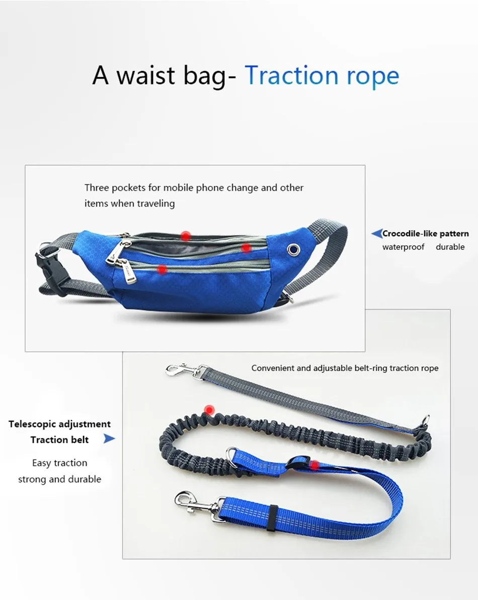 Hands Free Dog Leash - Phone Storage Compartment - Running Clip