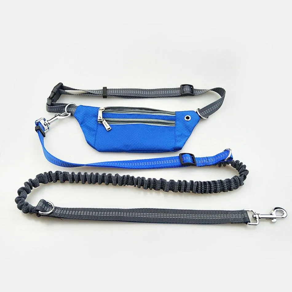 Hands Free Dog Leash - Phone Storage Compartment - Running Clip