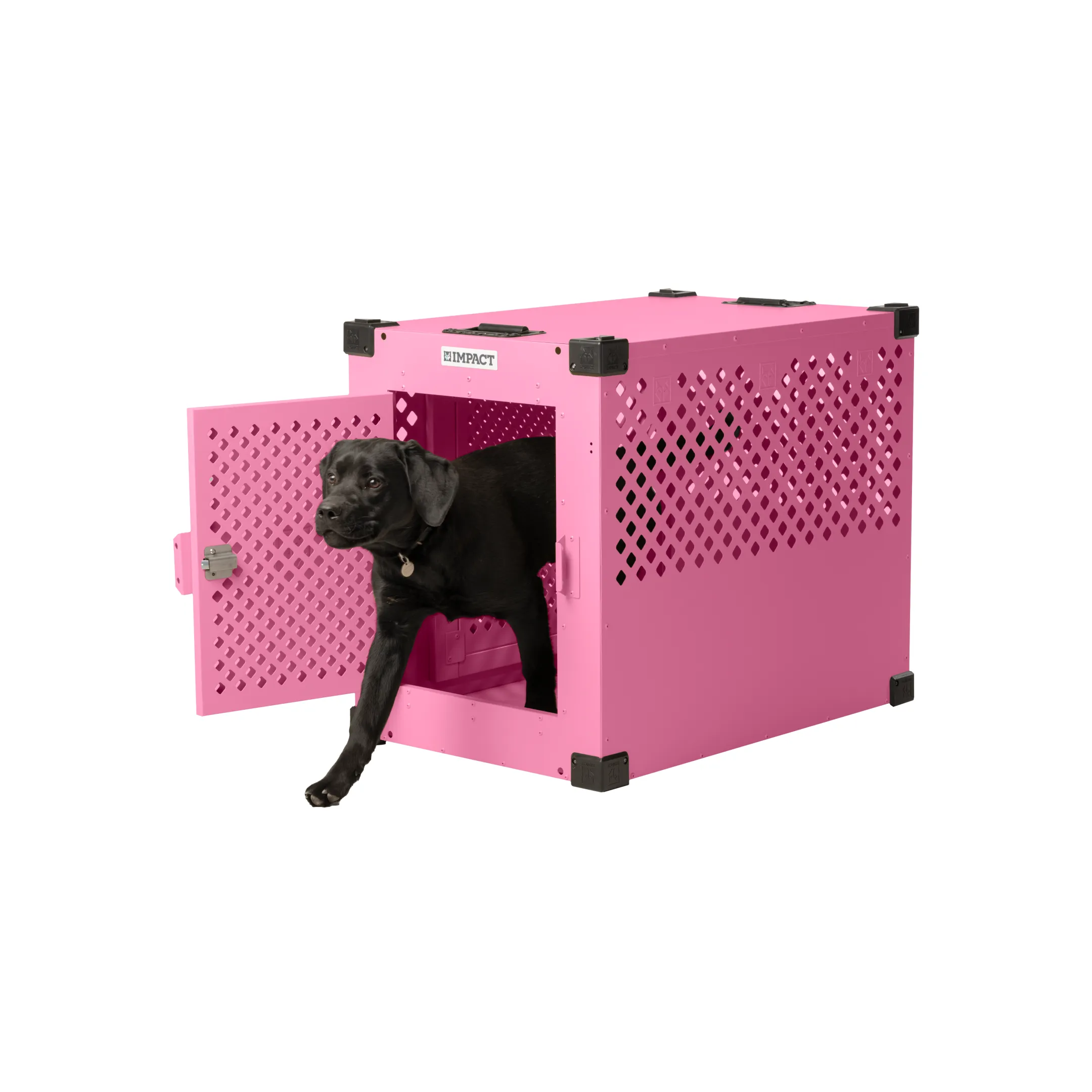 Limited Edition: Pink Stationary Dog Crate