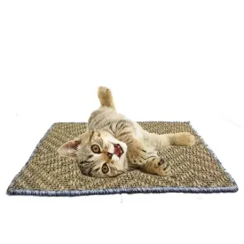 Mats Avenue Door Mats At Your Door Step Cat Scratch Pad (40 X 60 CM)