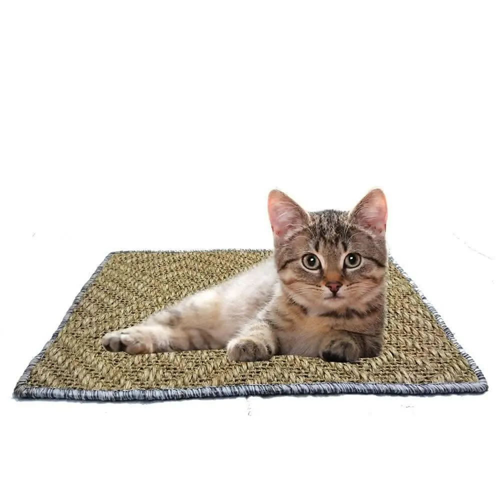 Mats Avenue Door Mats At Your Door Step Cat Scratch Pad (40 X 60 CM)