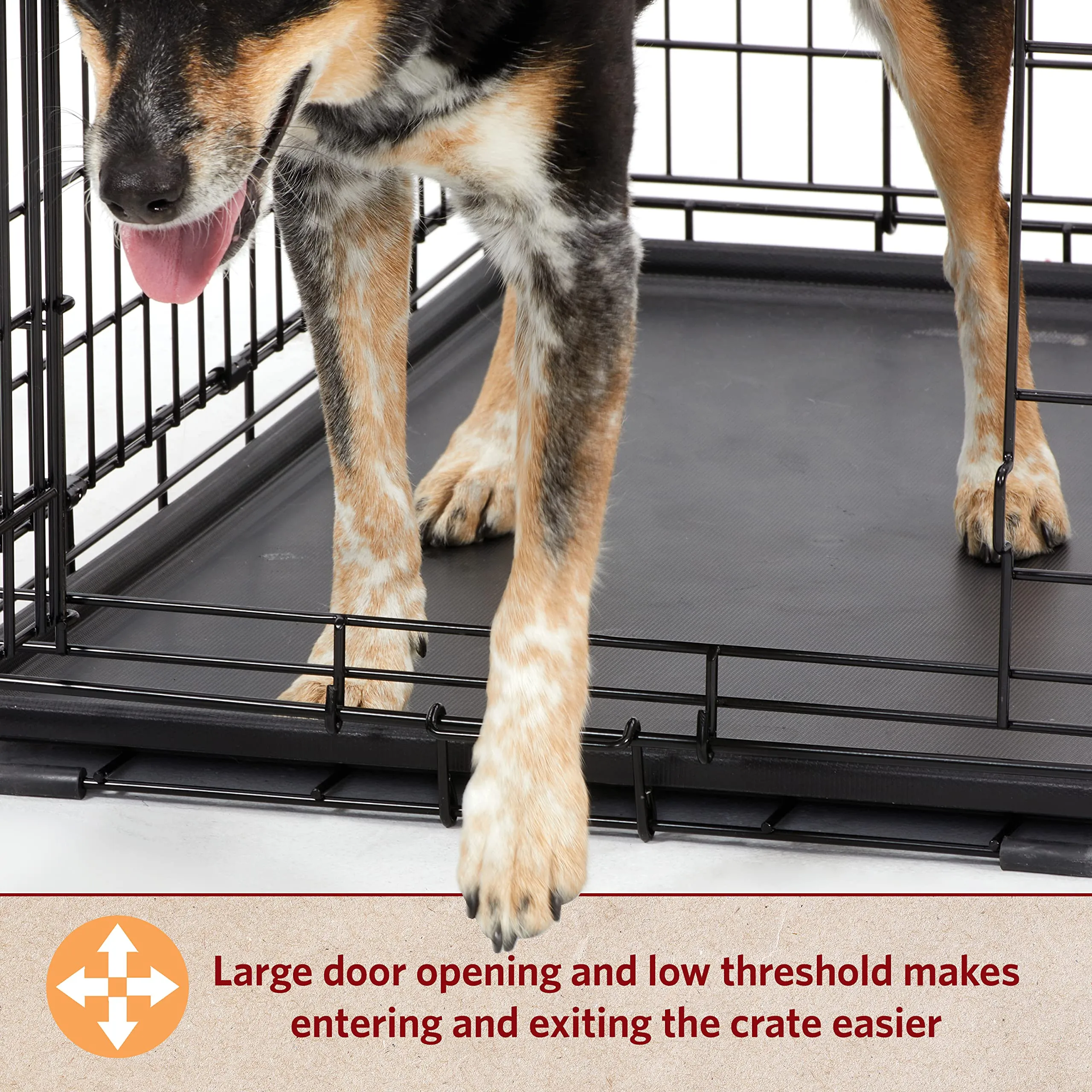Midwest I-Crate Double Door Metal Folding Dog Crate with Divider Panel - 30" X 19" X 21" Inches