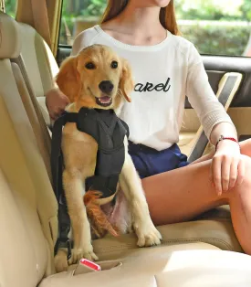Pet Life ® 'Road-To-Safety' Pet Dog Carseat Harness Securer w/ Detachable Swivel Hook