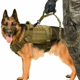 Recon GS2  Tactical Dog Leash - Lead