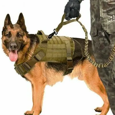 Recon GS2  Tactical Dog Leash - Lead